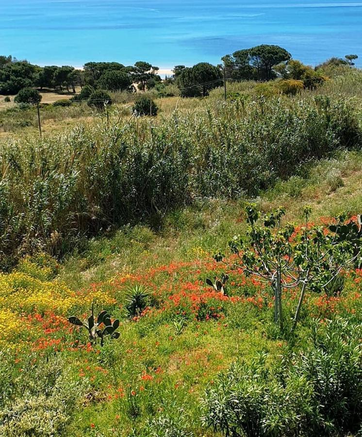Il Canneto Di Selinunte Marinella di Selinunte Dış mekan fotoğraf