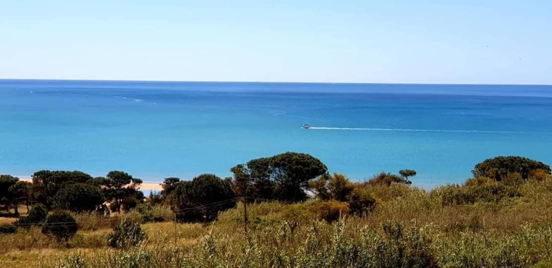 Il Canneto Di Selinunte Marinella di Selinunte Dış mekan fotoğraf