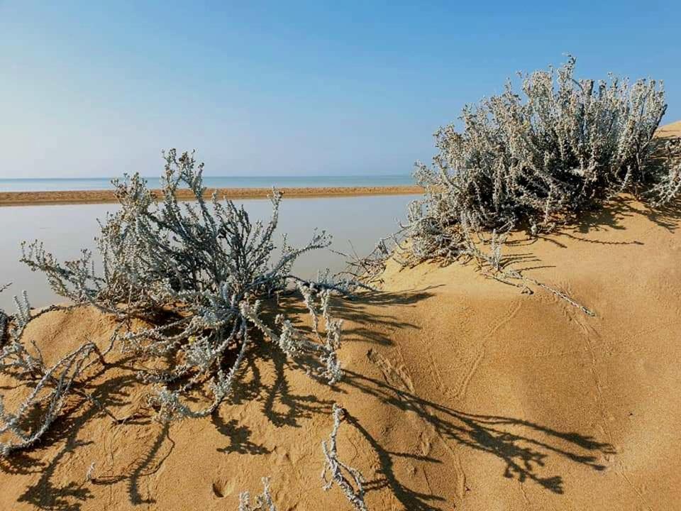 Il Canneto Di Selinunte Marinella di Selinunte Dış mekan fotoğraf