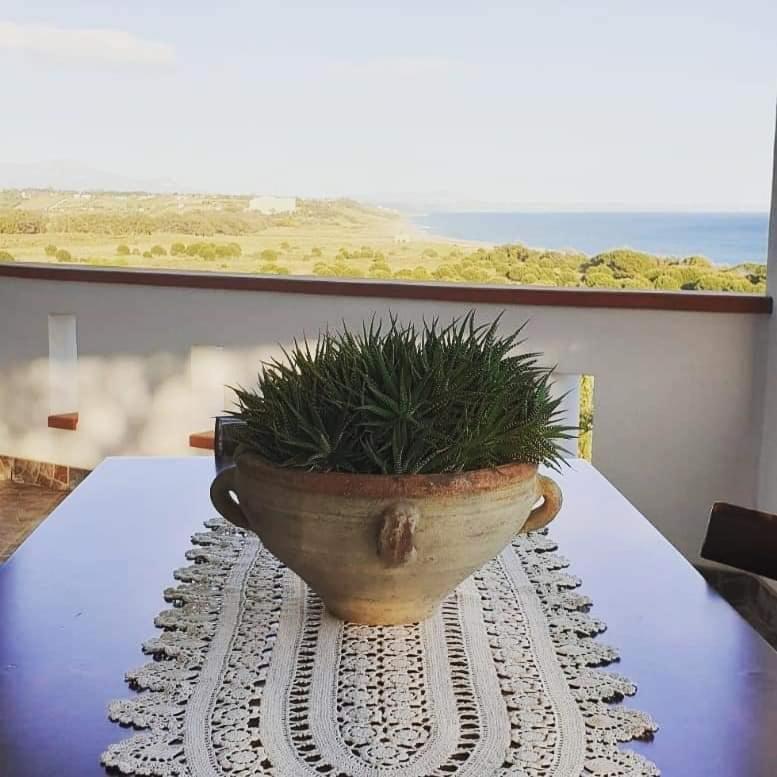Il Canneto Di Selinunte Marinella di Selinunte Dış mekan fotoğraf