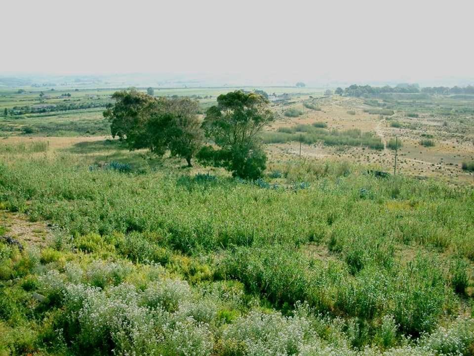 Il Canneto Di Selinunte Marinella di Selinunte Dış mekan fotoğraf